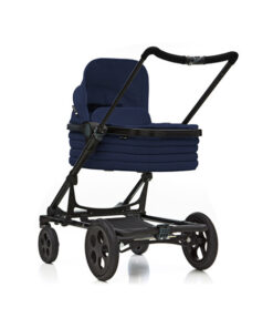 Seed Papilio Navy (Aussteller)